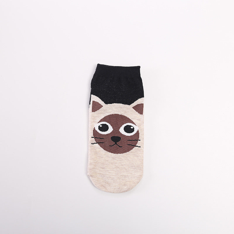 Pawsome Socks #2