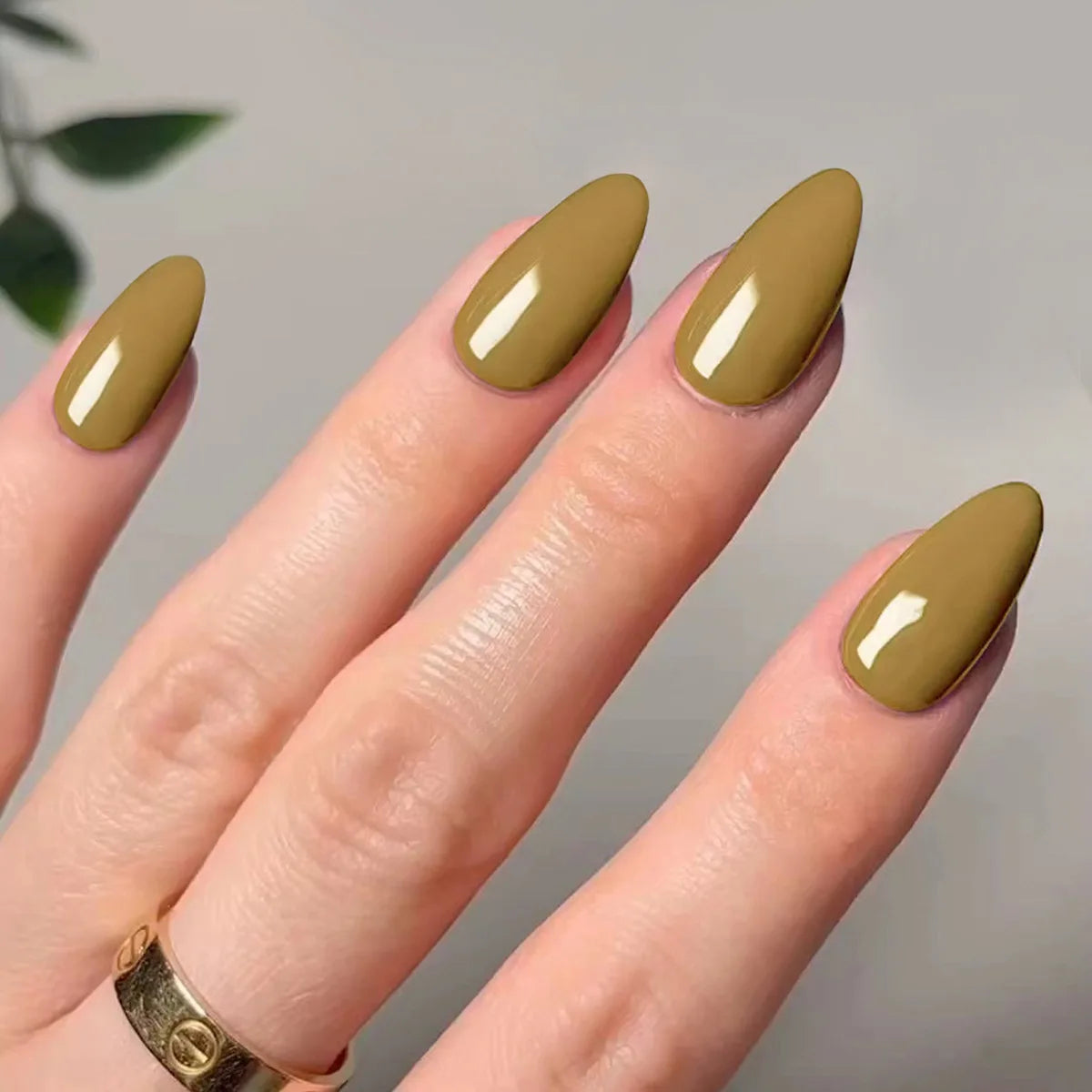 Classic Glossy Long Pointed Fake Nails Set