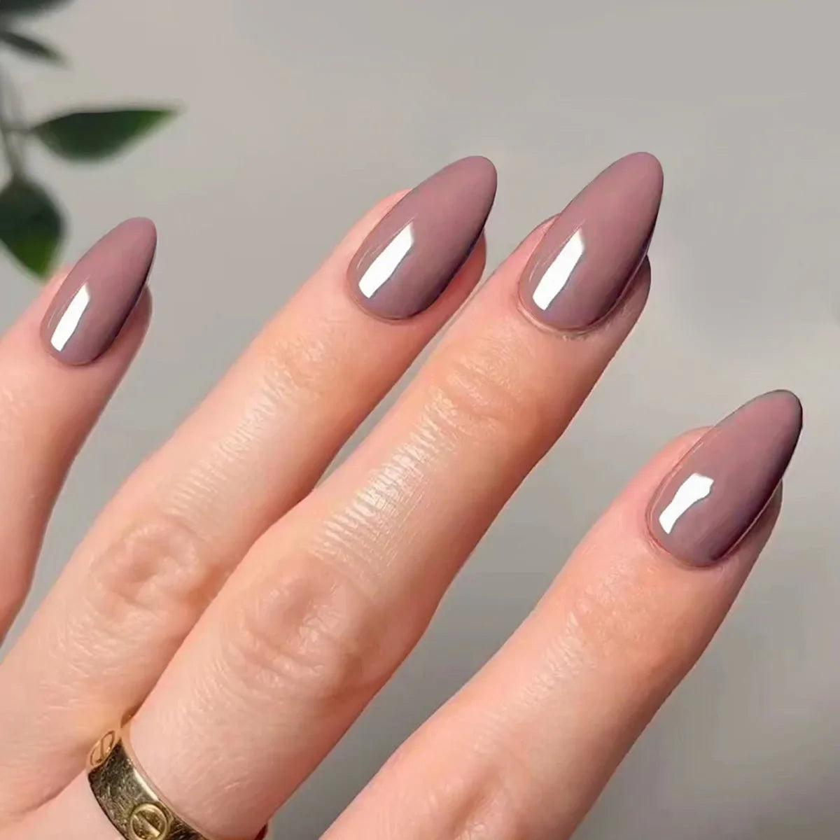 Classic Glossy Long Pointed Fake Nails Set