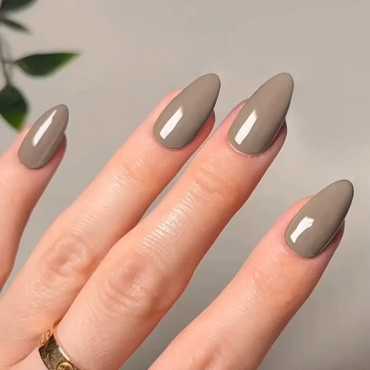 Classic Glossy Long Pointed Fake Nails Set