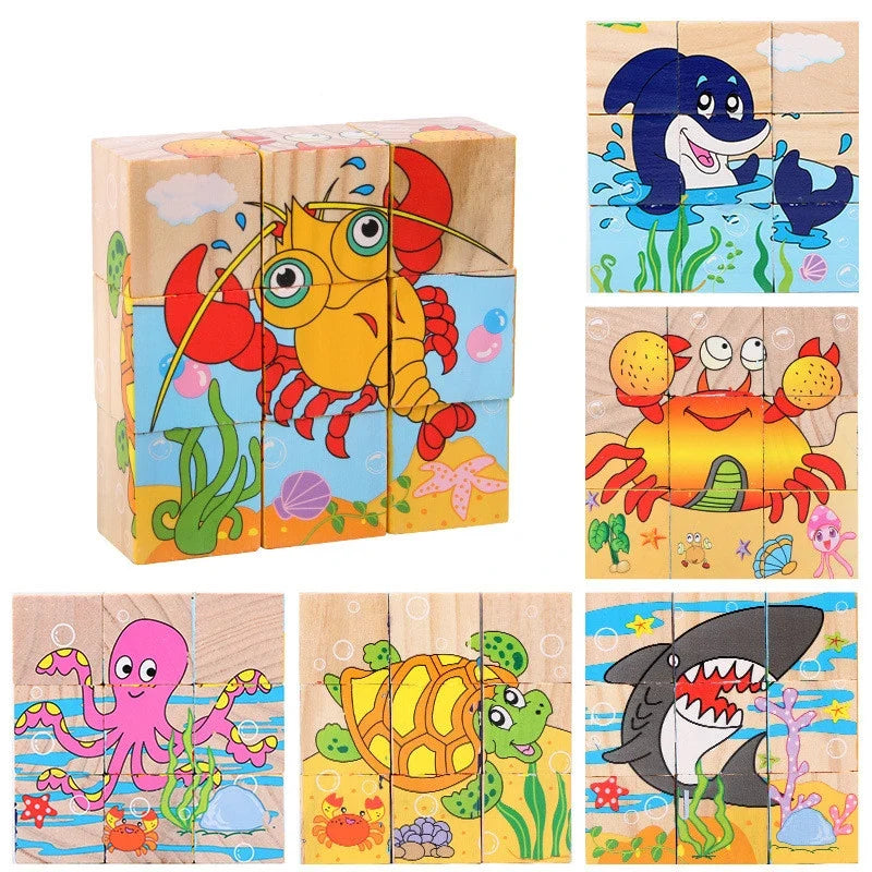 6 in 1 Puzzle Wooden Cubes-13