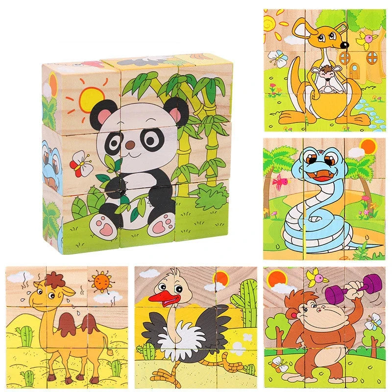 6 in 1 Puzzle Wooden Cubes-7
