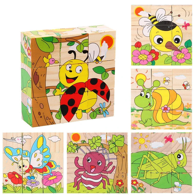6 in 1 Puzzle Wooden Cubes-12