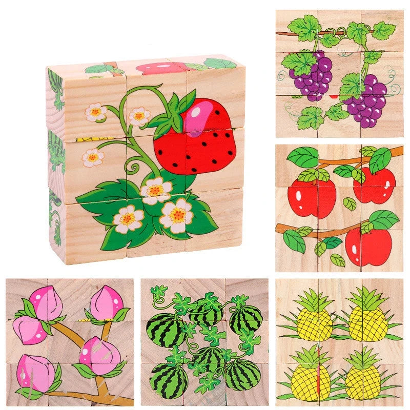 6 in 1 Puzzle Wooden Cubes-11