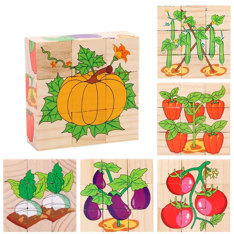 6 in 1 Puzzle Wooden Cubes-6
