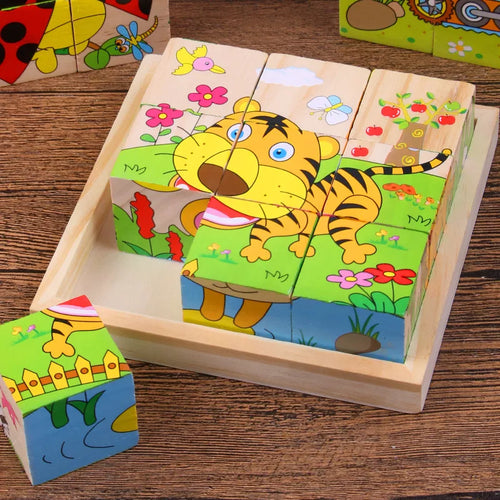 6 in 1 Puzzle Wooden Cubes-0