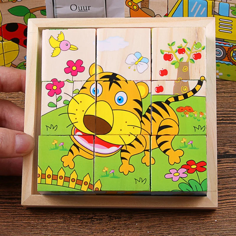 6 in 1 Puzzle Wooden Cubes-1